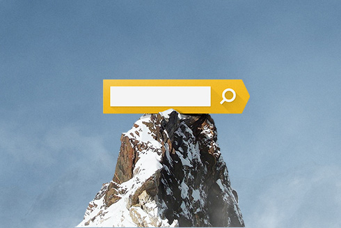 SEO продвижение сайтов 
